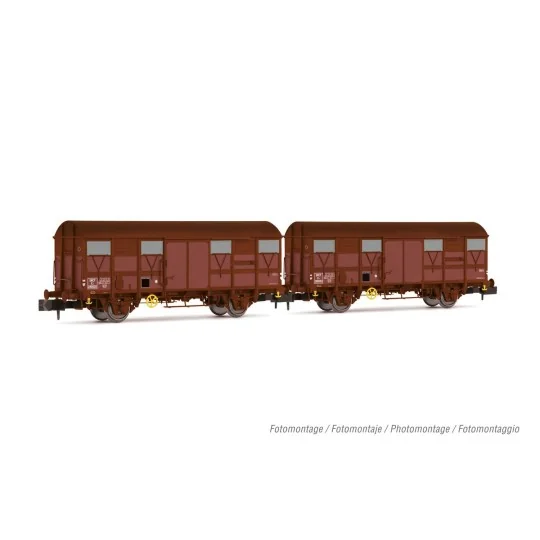 HN6570-Arnold HN6570 Set de 2 wagons couverts à essieux type Kv Permaplex, livrée marron, SNCF, échelle N