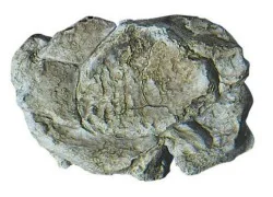 Woodland Scenics C1237 Mold for wind-eroded rocks - Woodland Scenic...