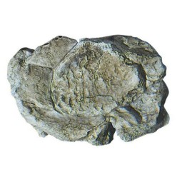 Woodland Scenics C1237 Mold for wind-eroded rocks - Woodland Scenic...