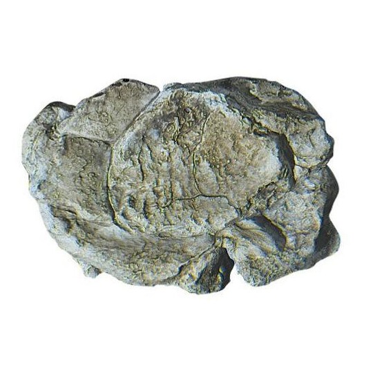 WC_1237-Woodland Scenics C1237 Mold for wind-eroded rocks