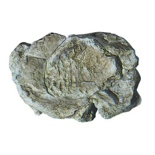 Woodland Scenics C1237 Mold for wind-eroded rocks - WC_1237 WC_1237-Woodland Scenics C1237 Mold for wind-eroded rocks - WC_1237
