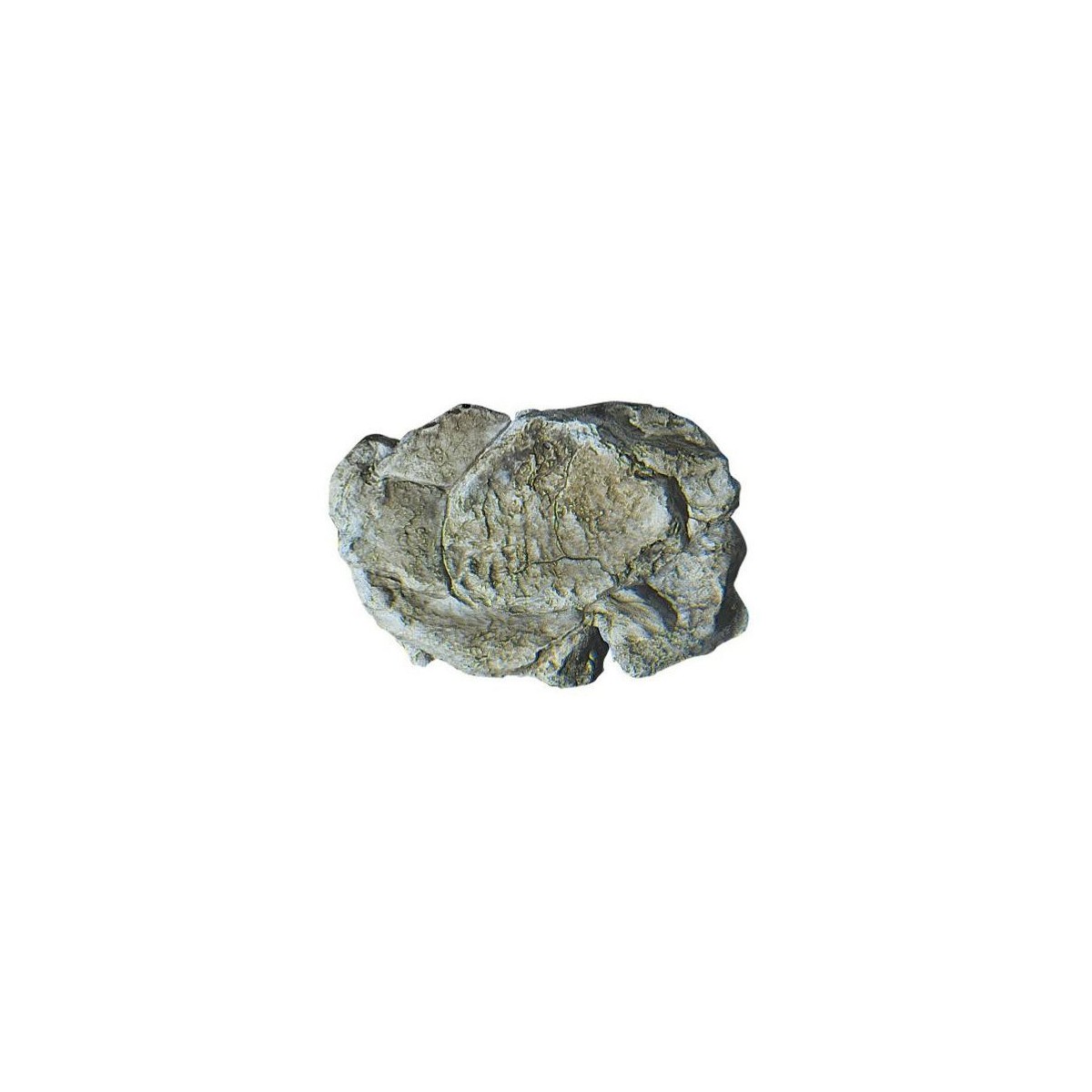 Woodland Scenics C1237 Mold for wind-eroded rocks - Woodland Scenic... Woodland Scenics C1237 Mold for wind-eroded rocks - Woodland Scenic...