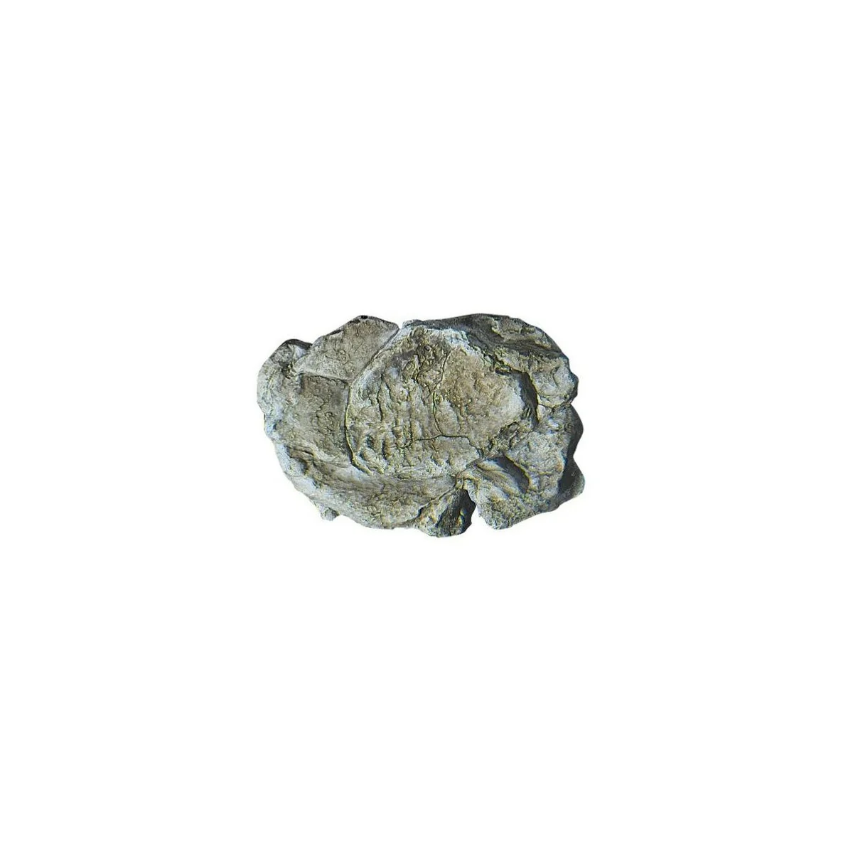 Woodland Scenics C1237 Mold for wind-eroded rocks - WC_1237 Woodland Scenics C1237 Mold for wind-eroded rocks - WC_1237