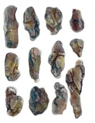 Woodland Scenics C1246 Mold for washed rocks - Woodland Scenics - W...