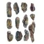 WC_1246-Woodland Scenics C1246 Moule pour roches, lavées