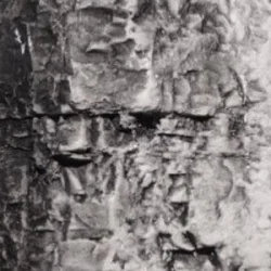 Woodland Scenics C1220 Peinture décor noir 118ml Woodland Scenics WC_1220 - 1