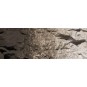 Woodland Scenics C1221 Decorative Shadow Paint 118ml - Woodland Sce... WC_1221-Woodland Scenics C1221 Decorative Shadow Paint 118ml - WC_1221