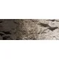 Woodland Scenics C1221 Peinture décor ombre 118ml Woodland Scenics WC_1221 - 1 WC_1221-Woodland Scenics C1221 Peinture décor ombre 118ml