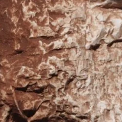 Woodland Scenics C1222 Peinture décor ombre brulée 118ml Woodland Scenics WC_1222 - 1