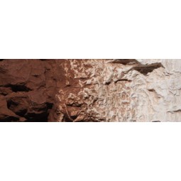 Woodland Scenics C1222 Burnt Umber Decorative Paint 118ml - Woodlan...