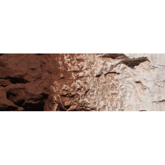 WC_1222-Woodland Scenics C1222 Burnt Umber Decorative Paint 118ml