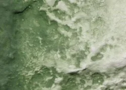 Woodland Scenics C1228 Green Decorative Undercoat Paint 236ml - Woo...