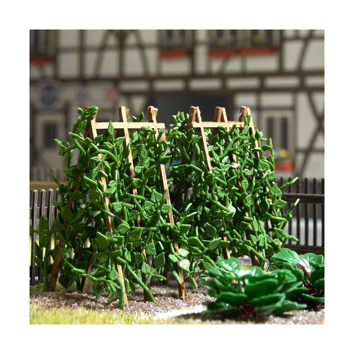 Busch 1269 Haricots sur tiges Busch Busch_1269 - 1