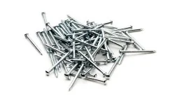 Roco 10000 Fixing nail for 10mm rails - Roco - Roco_10000