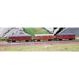 Liliput 260136 Set of 3 DB AG covered wagons, brown - Liliput - Lil...
