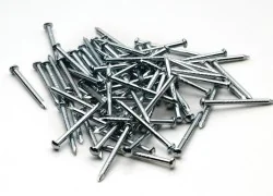 Roco 10001 Fixing nail for 15mm rails