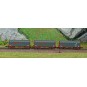 AZAR_W03-ERP-Azar W03-ERP Set of 3 short covered bogie wagons, ERMEWA, Z scale