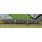 Azar W03-ERP Set of 3 short covered bogie wagons, ERMEWA, Z scale AZAR_W03-ERP-Azar W03-ERP Set of 3 short covered bogie wagons, ERMEWA, Z scale