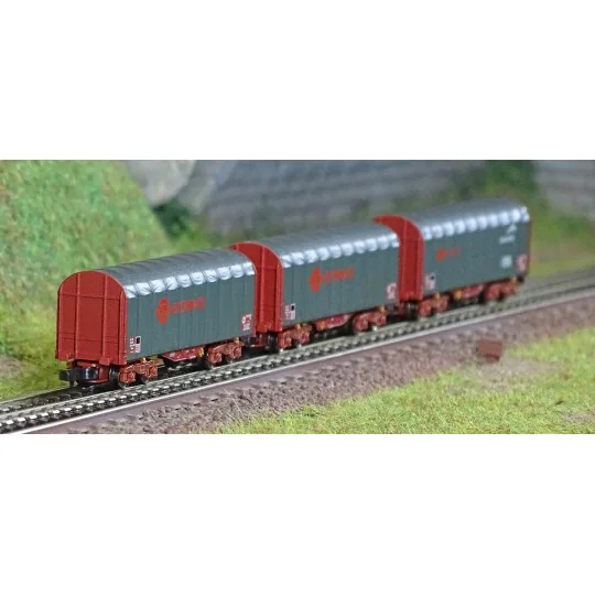 AZAR_W03-ERP-Azar W03-ERP Set of 3 short covered bogie wagons, ERMEWA, Z scale