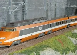 - Ree Modeles - TGV-004