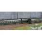 VB-499-Ree Modeles VB499 Set of 3 lightweight "Sausage" coaches, ETAT, A8/B10/A6d, green 301, ep. IV, illuminated