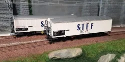 LS Models 30228 Set of 2 SNCF Frangeco wagons, white cab, blue STEF...