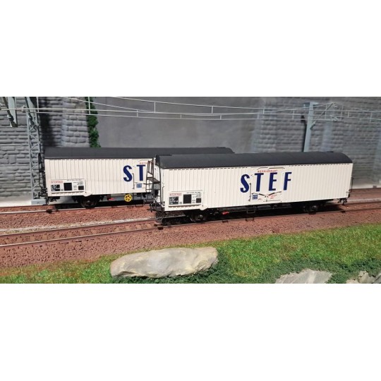 Lsm_30238-LS Models 30238 Set of 2 SNCF Frangeco LGS wagons, white, STEF blue, black roof