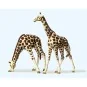 Preiser 20385 animaux, girafes Preiser Preiser_20385 - 1 Preiser_20385-Preiser 20385 animaux, girafes