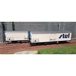 LS Models 30231 Set of 2 SNCF Frangeco wagons, white, blue STEF, gr...