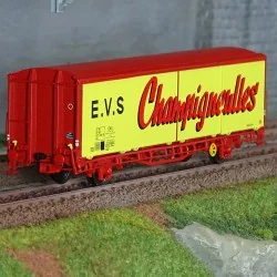 - Ls models - Lsm_30689