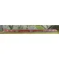 Arnold HN2621S Autorail TGV 4 éléments Frecciarossa 1000, FS, sonore, N 1/160 Arnold HN2621S - 6 HN2621S-Arnold HN2621S Autorail TGV 4 éléments Frecciarossa 1000, FS, sonore, N 1/160