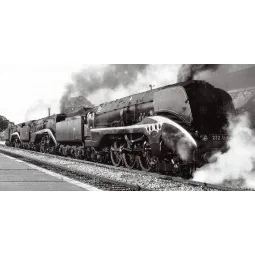 Ree Modeles 232R01S 232-R Steam Locomotive, Digital Sound, Smoke - ...