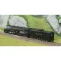 Trix_16488-MiniTrix 16488 Locomotive à vapeur série 3900, Union Pacific, digitale sonore, N - 1/160