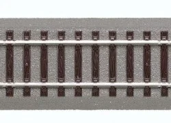 Roco Geoline 61120 Rocoline/Geoline 100mm Straight Transition Rail