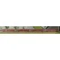 Arnold HN3514 Set de 4 complémentaires pour TGV Frecciarossa 1000, FS, N 1/160 Arnold HN3514 - 2 HN3514-Arnold HN3514 Set de 4 complémentaires pour TGV Frecciarossa 1000, FS, N 1/160