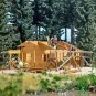 BUSCH_1855-Cabane en construction - Busch 1232