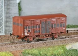 - Ls models - LSM_31303