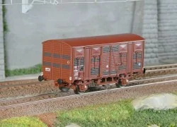 - Ls models - LSM_31307