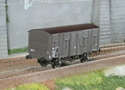 - Ls models - LSM_31309