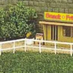 Sai 462 Souvenirs and Snack-Fries - Sai - Sai_462Notes: - If you intended “Souvenirs” as “memories” rather than keepsakes, you