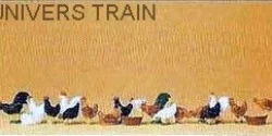 Preiser 14168 animals, hens and roosters - Preiser - Preiser_14168