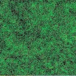 Busch 7110 Flocage fibre, herbe vert foncé Busch Busch_7110 - 1