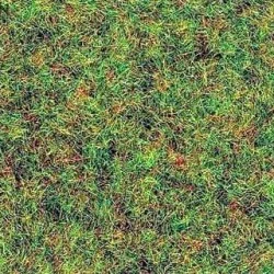 Busch 7111 Flocage fibre, herbe vert clair Busch Busch_7111 - 1