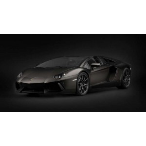 Pocher HK121 Lamborghini Aventador LP 700-4 Roadster Nero Nemesis Noir Mat 1/8 Pocher HK121F - 5