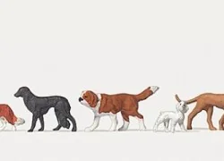 Preiser 0212466 Characters, Dogs - Preiser - Preiser_0212466