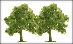 Busch 6649 Arbres fruitiers x 2 Busch Busch_6649 - 1