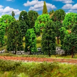 Faller 181524 Arbres Feuillus, assortis x15 Faller Faller_181524 - 1