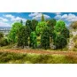 Faller_181524-Faller 181524 Deciduous Trees, Assorted x15