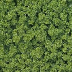 Busch 7361 Flocage mousse buisson vert de mai Busch Busch_7361 - 1