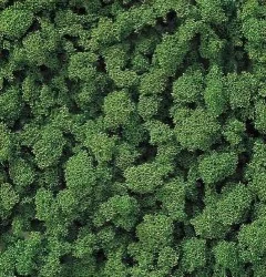 Busch 7362 Flocage mousse buisson vert moyen Busch Busch_7362 - 1